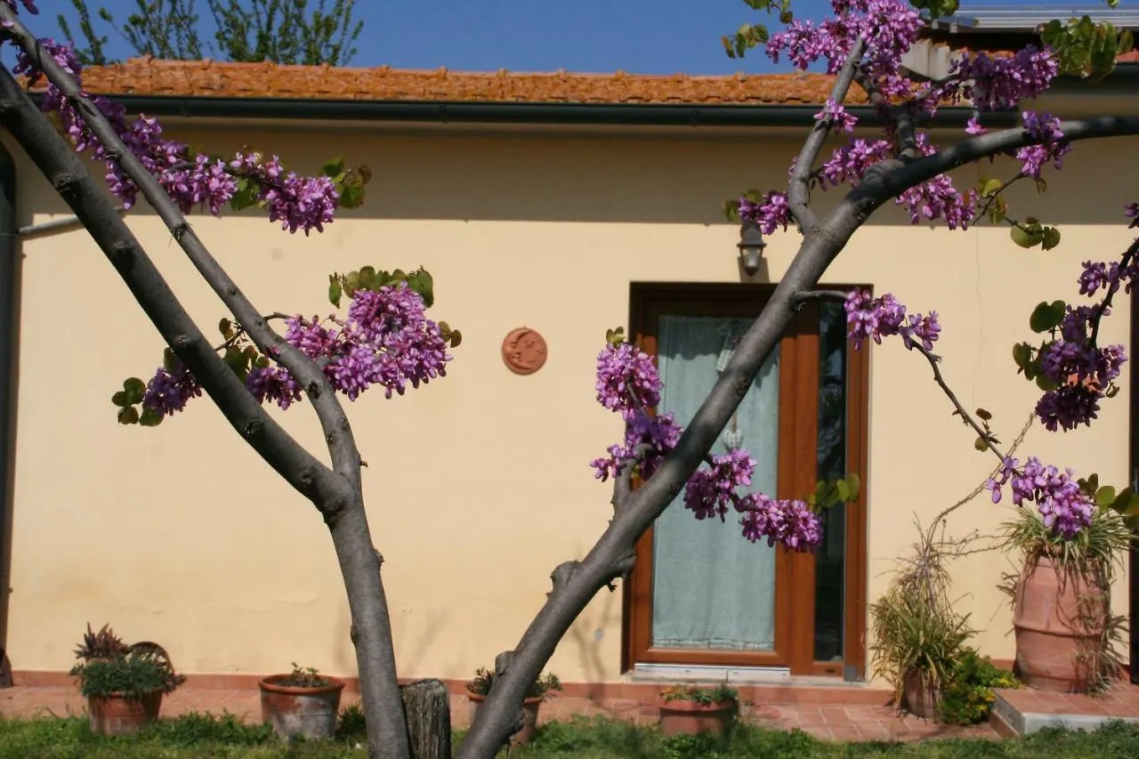 Bauernhof Agriturismo Diciocco Venturina Terme Italien