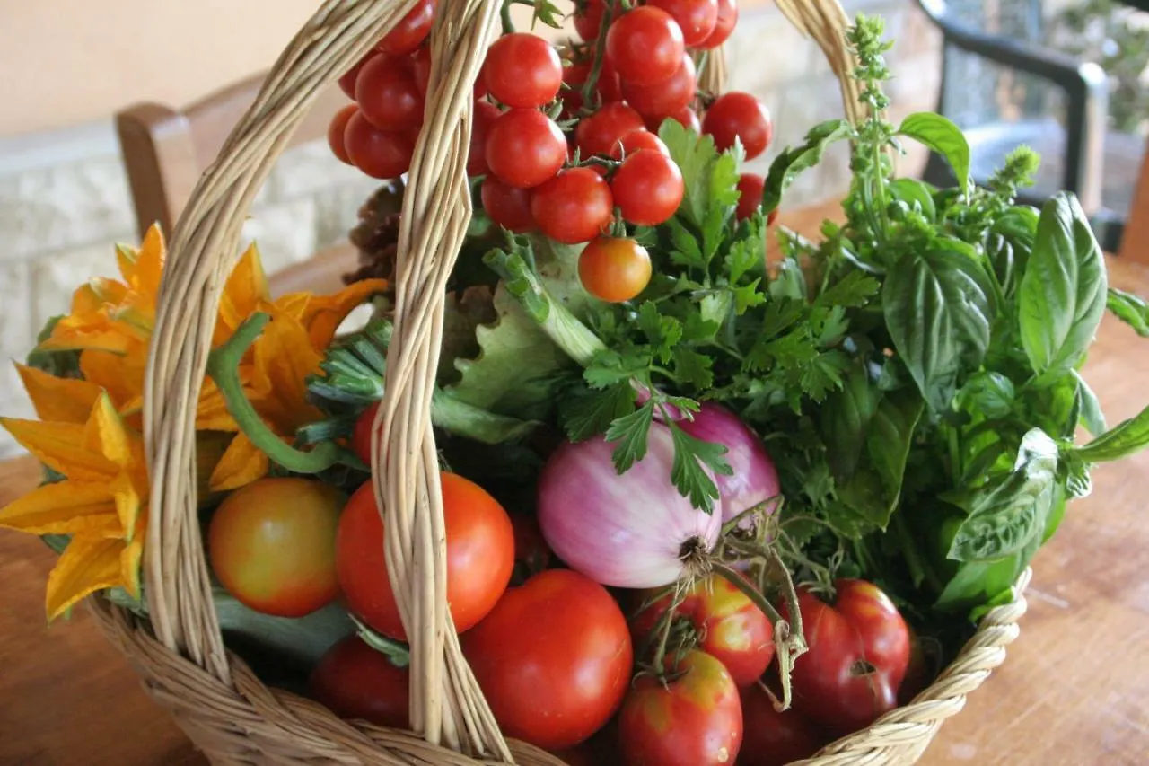 Bauernhof Agriturismo Diciocco Venturina Terme